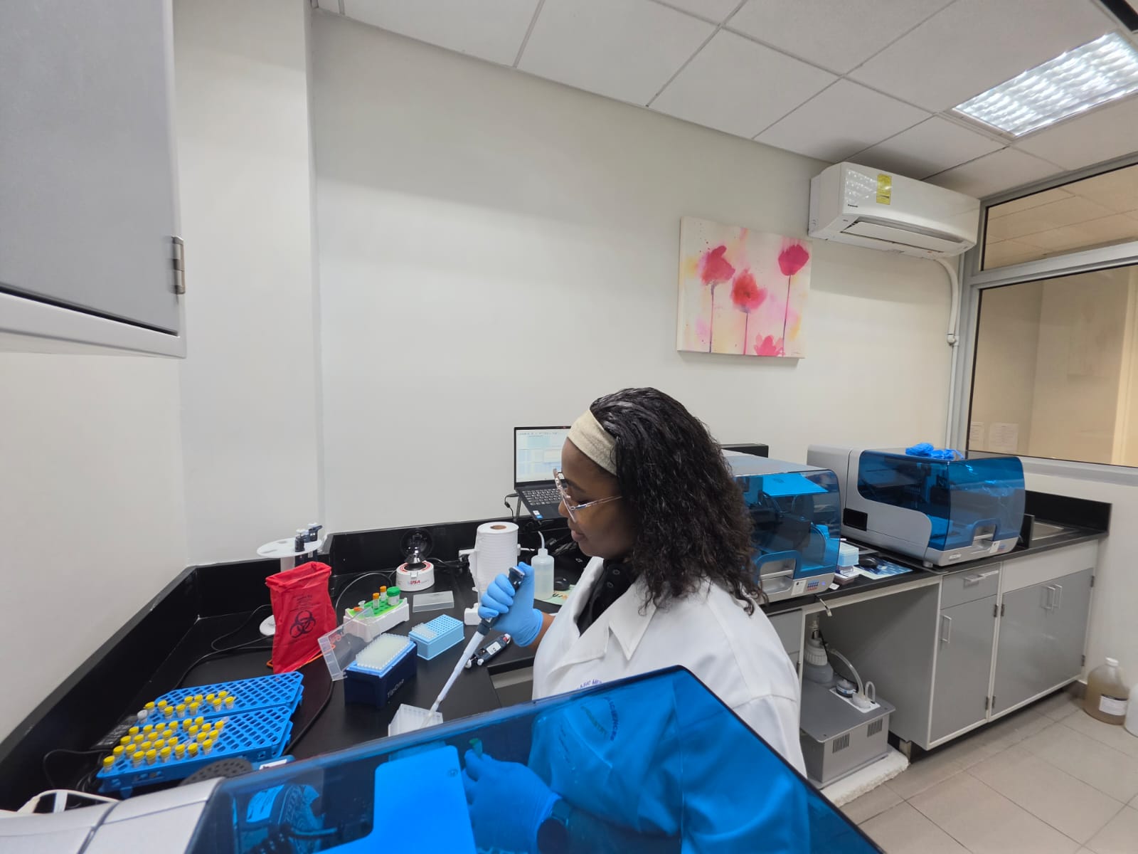A CARIGEN analyst pipetting samples beside automated extraction instruments