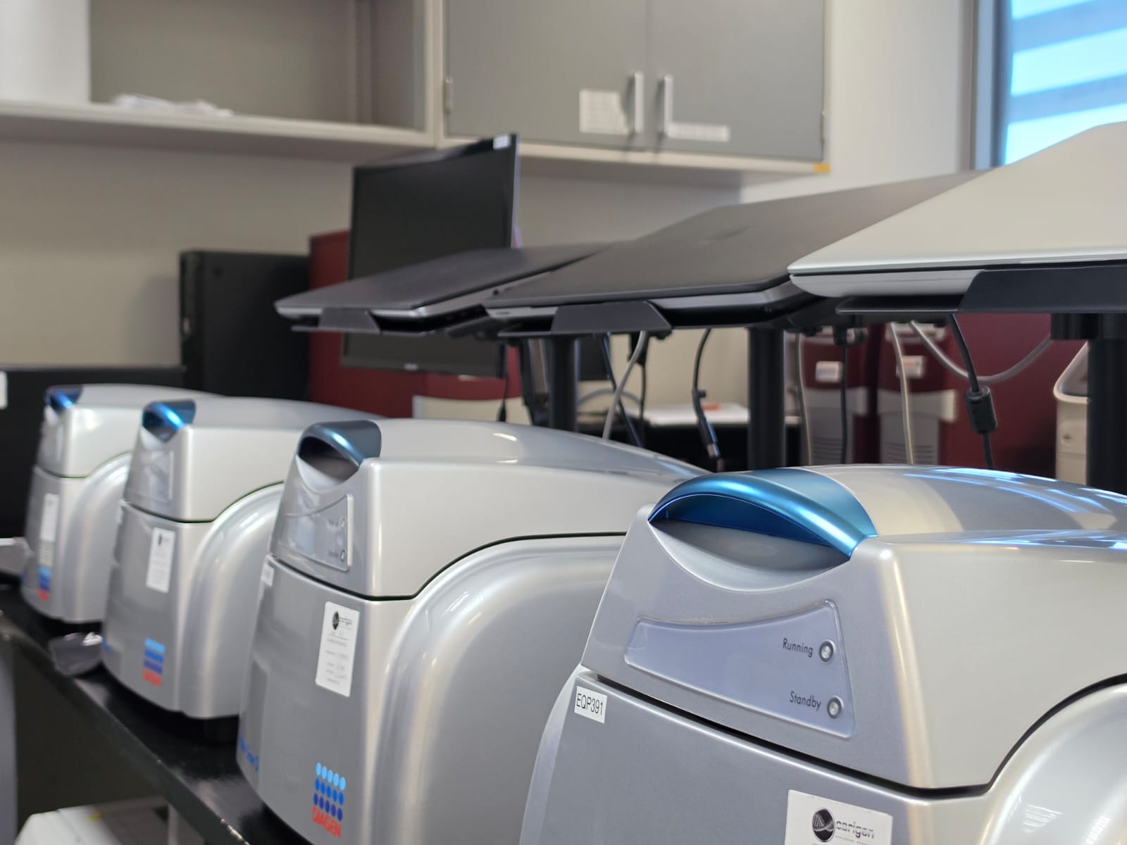 A row of QIAGEN real-time PCR instruments in the laboratory