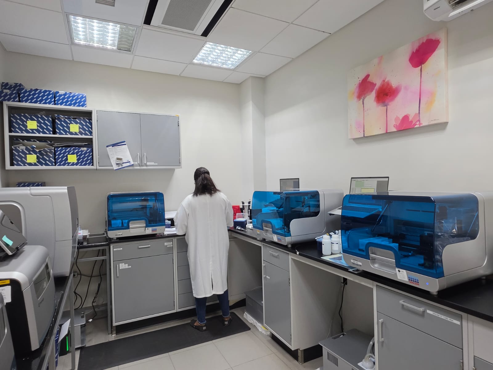 A CARIGEN analyst at a bench of QIAGEN automated extraction instruments