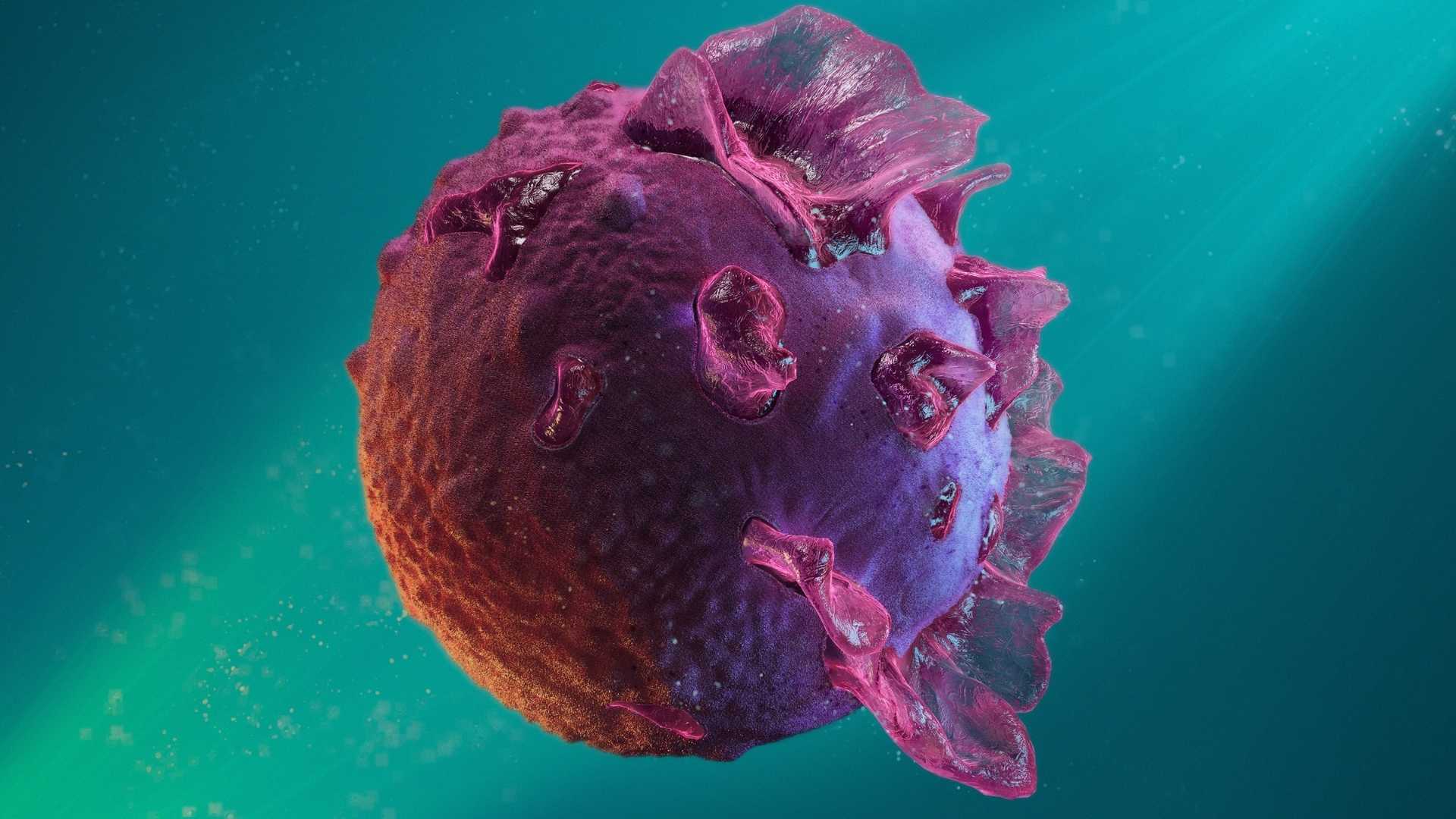 epstein-barr-virus